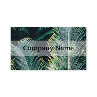 Tropical Palm Tree Leaves, Exotic Photograph