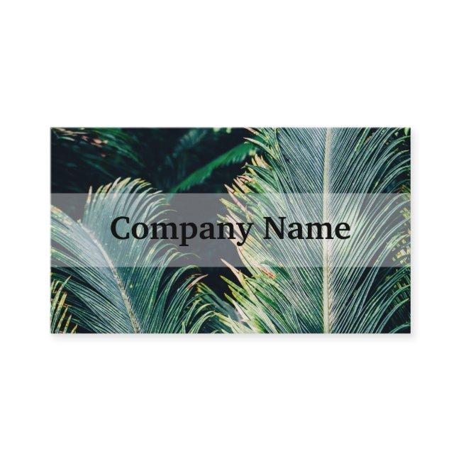 Tropical Palm Tree Leaves, Exotic Photograph