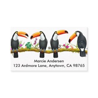 Tropical Toucan Birds