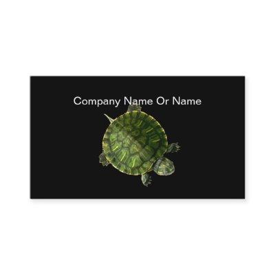 Turtle Nature
