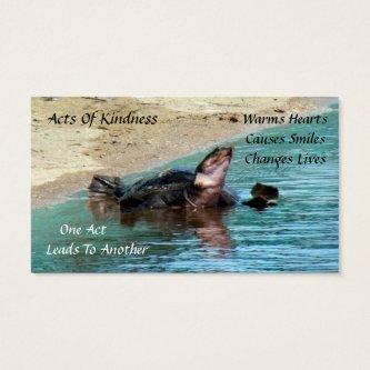 Turtle Random Acts of Kindness Card