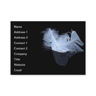 Twin flame feathers and reflection