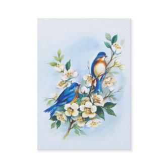 Two Bluebirds