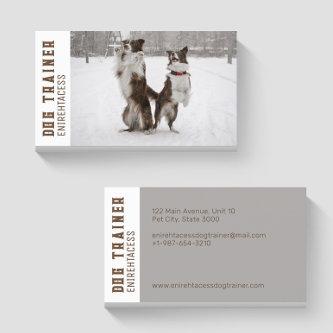 Two Border Collies Dog Trainer