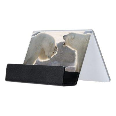 Two Polar Bears Desk  Holder