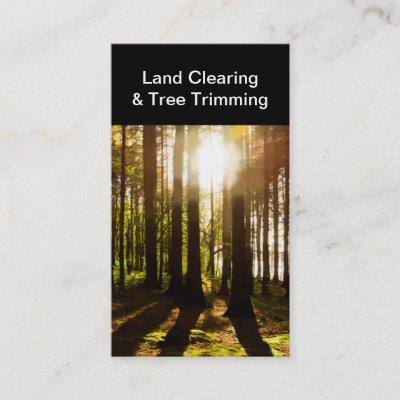 Two Side Land Clearing And Tree Trimming