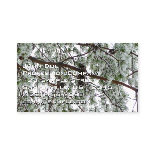 Underneath the Snow Covered Pine Tree Winter Photo