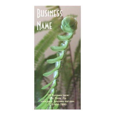 Unfurling Fern Frond Photograph Rack Card