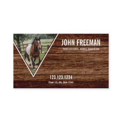 Unique Brown Horse Photo Equestrian Coaching