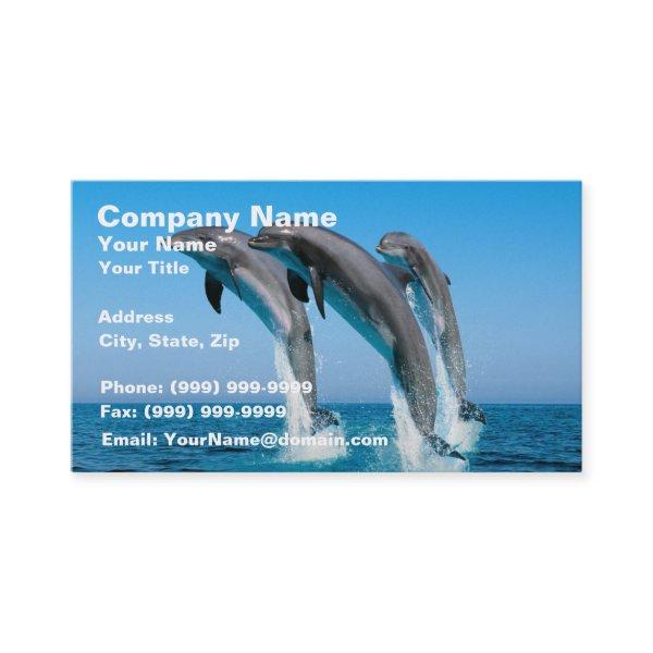 Up Up Up Dolphins