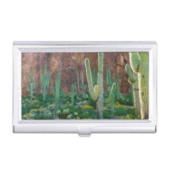 USA, Arizona. Saguaro Cactus Field By A Cliff Case For
