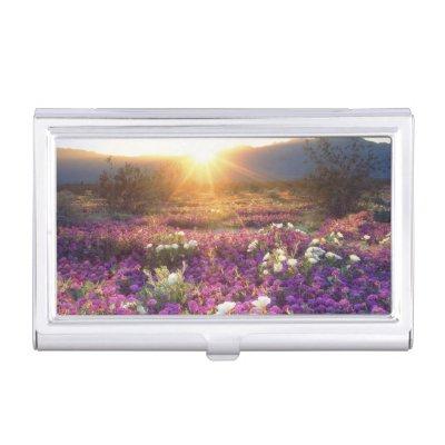 USA, California, Anza-Borrego Desert State Park. 2  Holder
