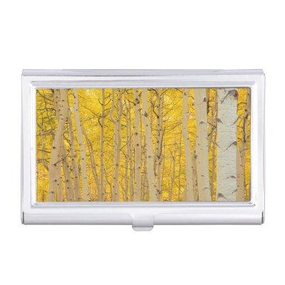 USA, Colorado. Aspens In Gunnison National Case For