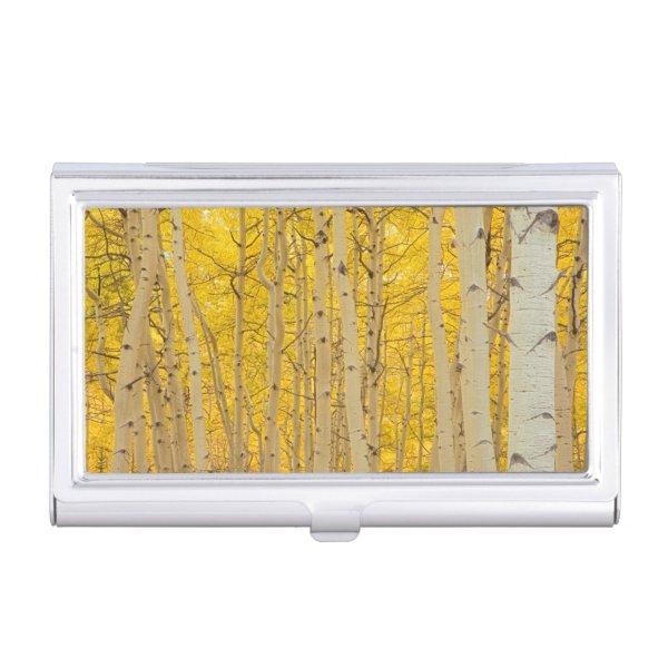 USA, Colorado. Aspens In Gunnison National Case For