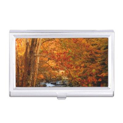 USA, Tennessee. Rushing Mountain Creek 2  Case