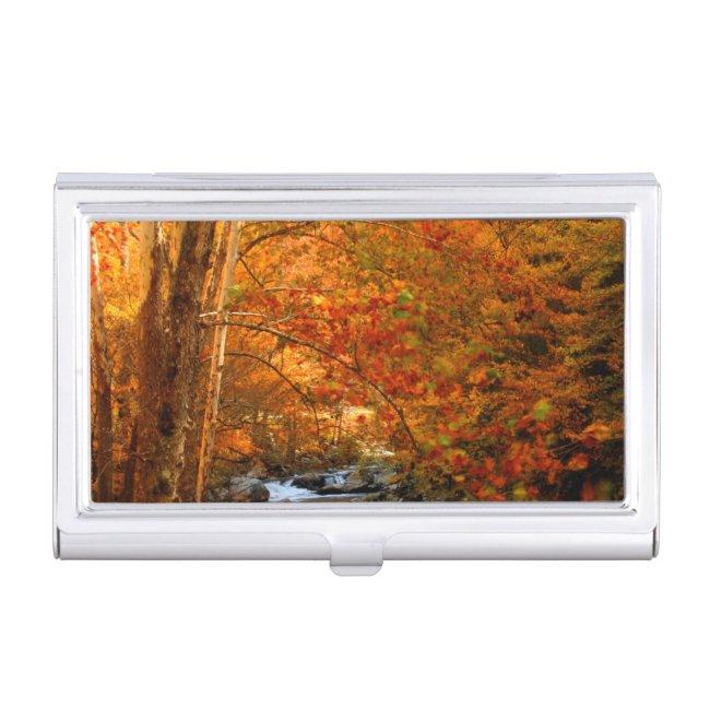 USA, Tennessee. Rushing Mountain Creek 2 Case