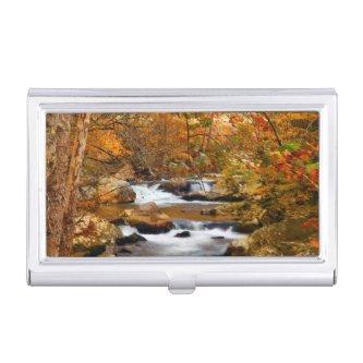 USA, Tennessee. Rushing Mountain Creek Case For
