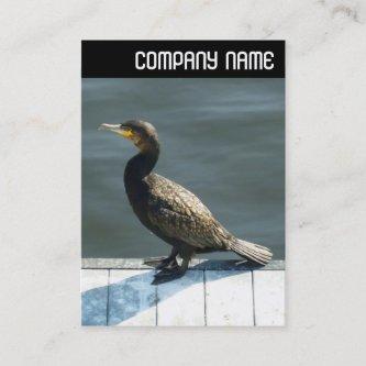 V Header - Cormorant