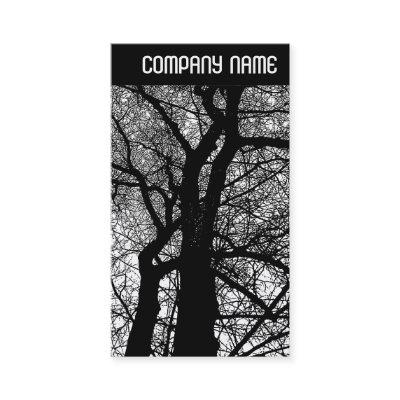 V Header - High Contrast Trees