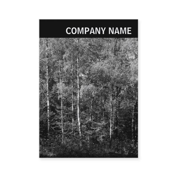 V Header - Image - Beech Trees
