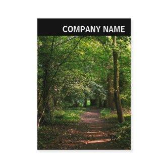 V Header - Image - Path in the Woods