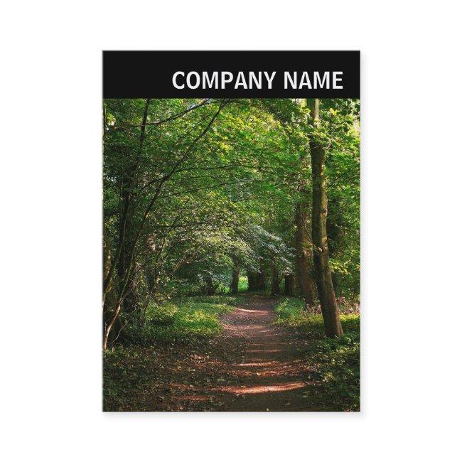 V Header - Image - Path in the Woods