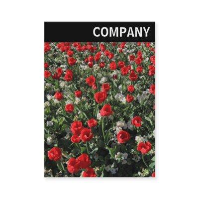 V Header - Red Tulips and Primroses