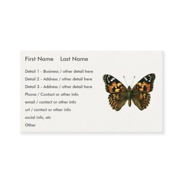 Vanessa cardui - The Painted Lady Butterfly
