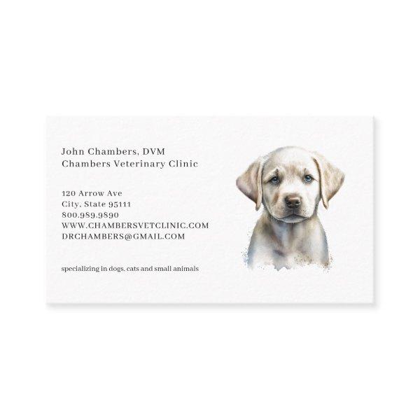 Veterinarian Business And Appointment Reminder