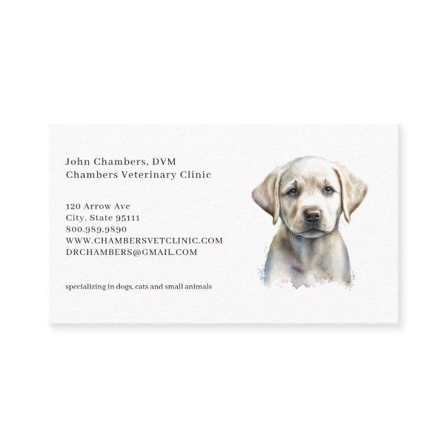 Veterinarian Business And Appointment Reminder