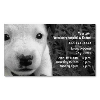 Veterinarian / Kennel Puppy Magnetic