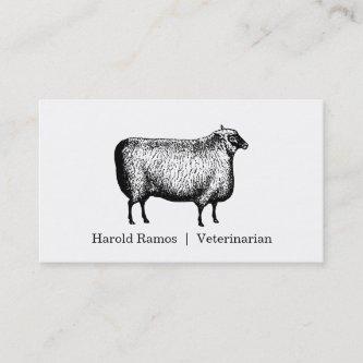 Veterinarian Large Animals And Livestock
