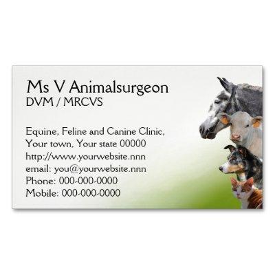 Veterinary all animals practice magnetic