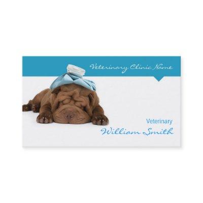 Veterinary