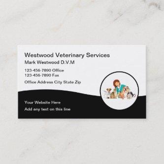 Veterinary Clinic Veterinarian
