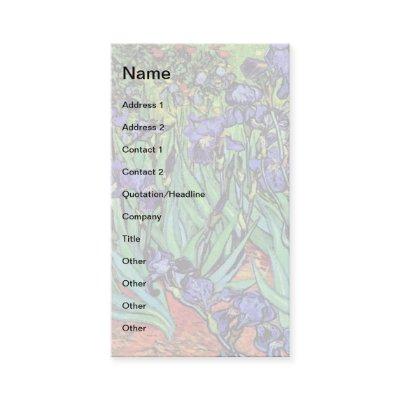 Vincent Van Gogh - Irises - Flower Lover Fine Art