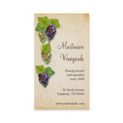 Vineyard