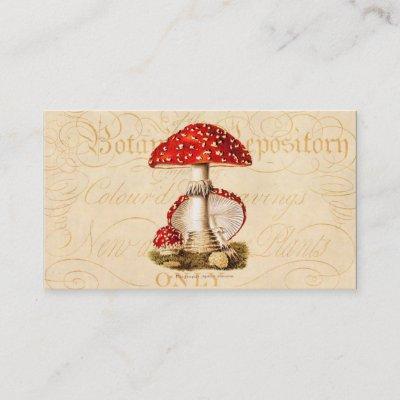 Vintage 1800s Mushroom Red Mushrooms Template
