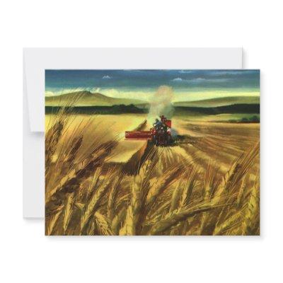 Vintage Agricultural Farm Business, Wheat Farming