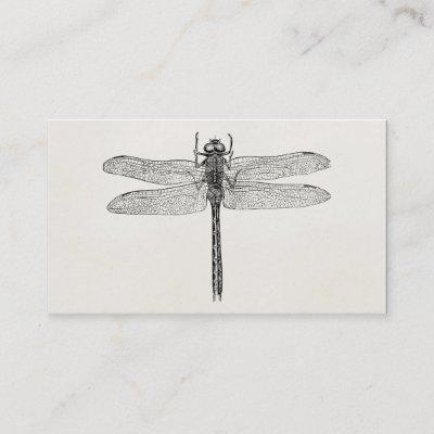 Vintage American Dragonfly Dragon Fly Template