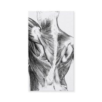 Vintage Anatomy | Back Muscles  (circa 1852) | B/W