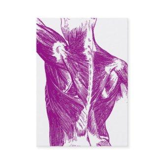 Vintage Anatomy | Back Muscles | Purple