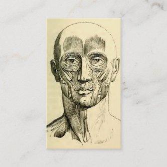 Vintage Anatomy | Muscles of the Face (circa 1852)