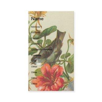 Vintage Bird and Nasturium Flowers