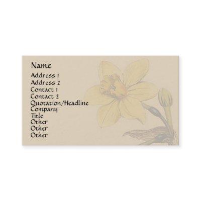 Vintage Botanical Art
