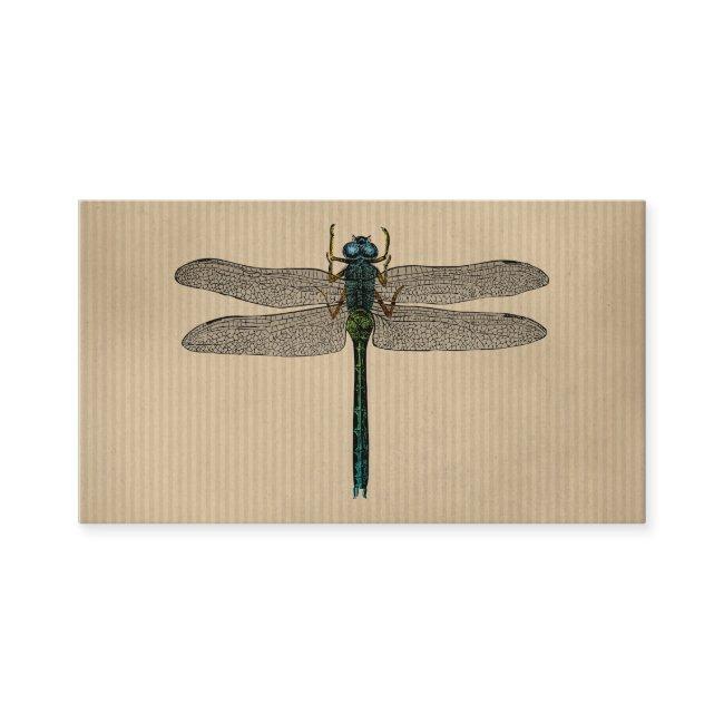 Vintage Dragonfly Illustration