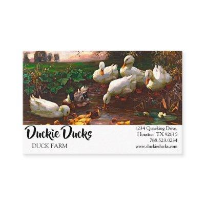 Vintage Drake Ducks And Ducklings Farm Animals