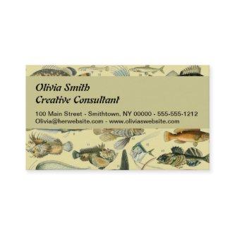 Vintage Fish Scientific Fishing Art