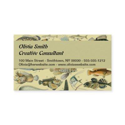 Vintage Fish Scientific Fishing Art