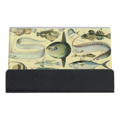 Vintage Fish Scientific Fishing Art Desk  Holder